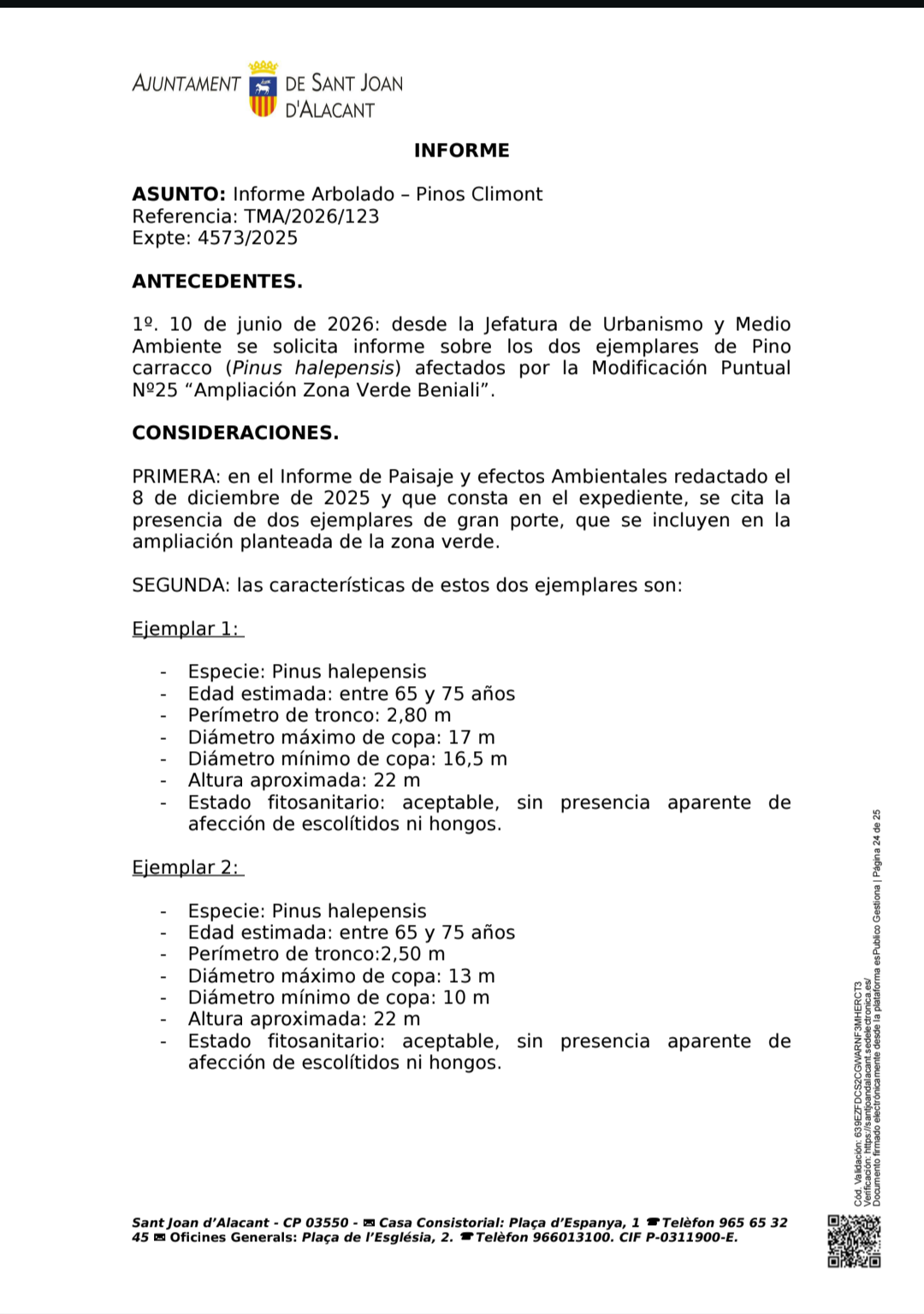 Primera página del informe municipal de arbolado sobre los pinos de la MP25
